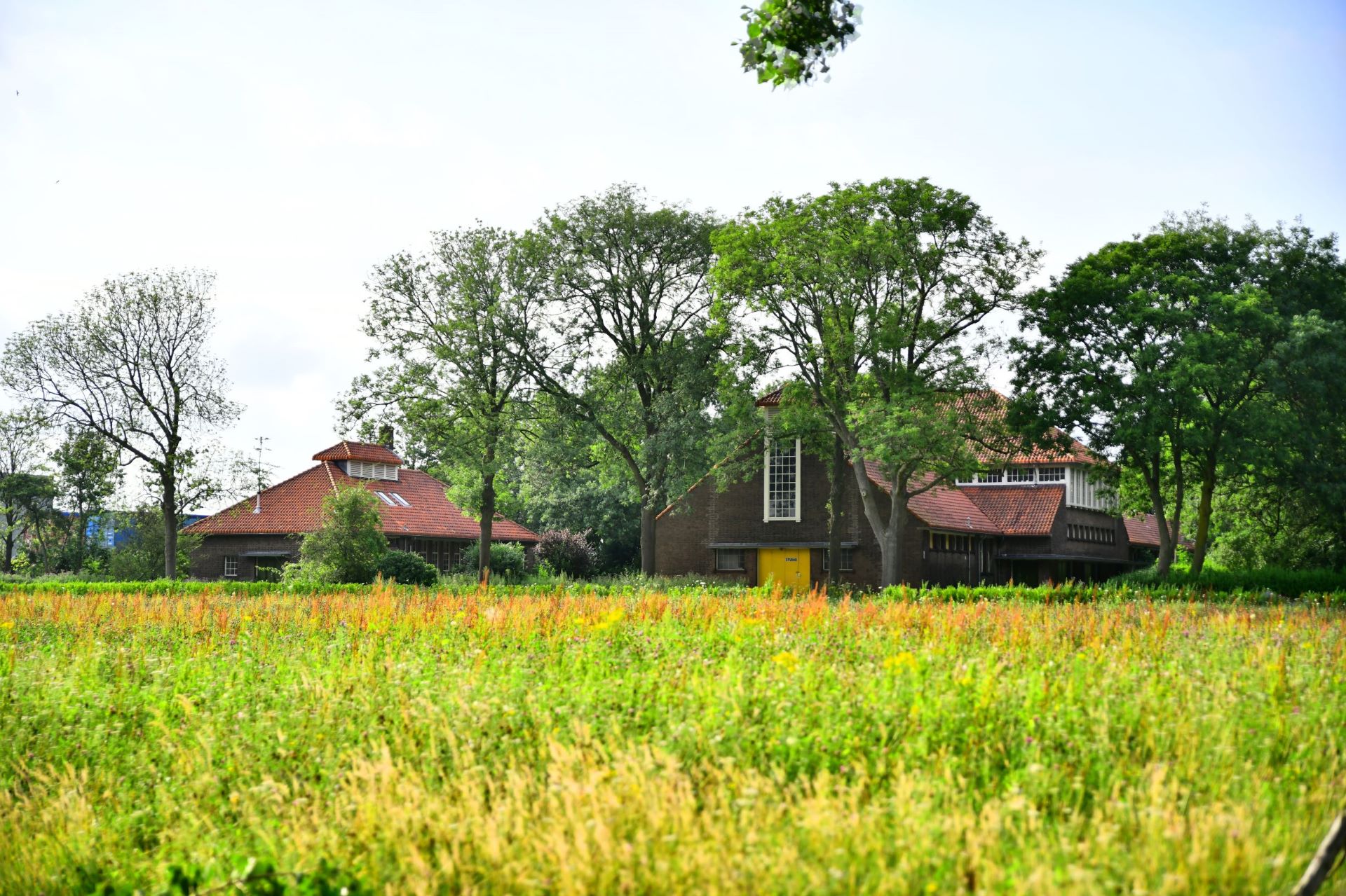 Q-terrein